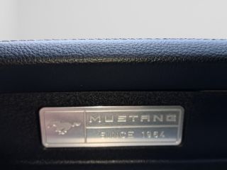 Ford Ford Mustang Convertible GT 5.0 Ti-VCT V8