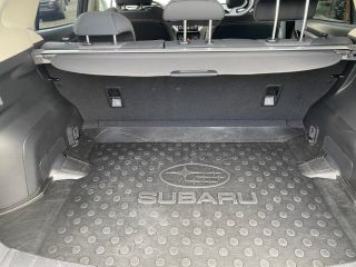 Skoda Kamiq Monte Carlo  1.5 TSI DSG ACT Pano Lane  Monte Carlo
