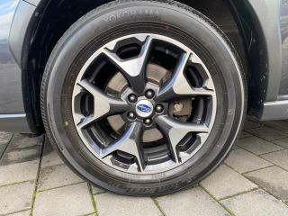 Skoda Kamiq Monte Carlo  1.5 TSI DSG ACT Pano Lane  Monte Carlo