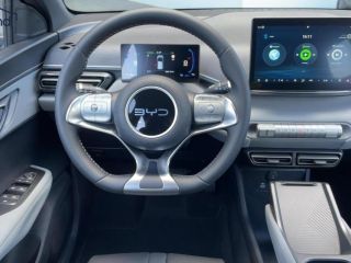 BYD DOLPHIN Sofort Lieferbar Boost Alu Link NAV NBA BOOST