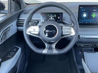 BYD DOLPHIN Sofort Lieferbar Boost Alu Link NAV NBA BOOST