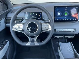 BYD DOLPHIN Dolphin Surf Boost Alarm Alu DAB Keyless Klima BOOST