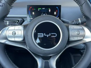 BYD DOLPHIN Dolphin Surf Boost Alarm Alu DAB Keyless Klima BOOST