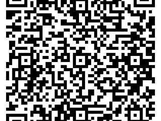 Dacia Dokker Express Blue dCi 95 Comfort