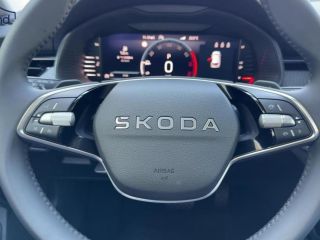 Skoda Kamiq 1,0 TSI DSG Selection Cleverpack AHK Alu SELECTION