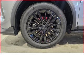 GWM Haval Jolion Pro Luxury+Automatik+Leder+LED+PANO+PDC+Dig.Cockpit+360 Kamera