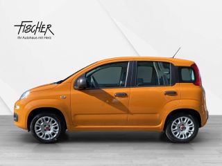 Fiat Panda 4x4 Wild AHK PDC Klimaaut.  4x4 Wild