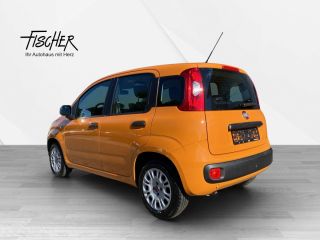 Fiat Panda 4x4 Wild AHK PDC Klimaaut.  4x4 Wild