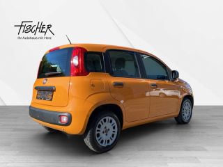 Fiat Panda 4x4 Wild AHK PDC Klimaaut.  4x4 Wild