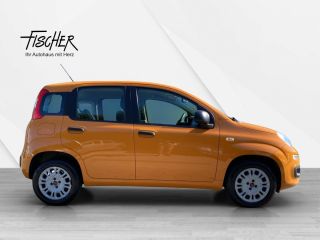 Fiat Panda 4x4 Wild AHK PDC Klimaaut.  4x4 Wild