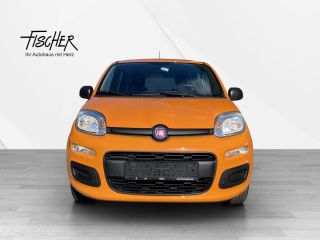 Fiat Panda 4x4 Wild AHK PDC Klimaaut.  4x4 Wild