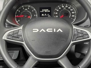 Skoda Kamiq 1,0 TSI DSG Drive LED Einparkhilfe DRIVE