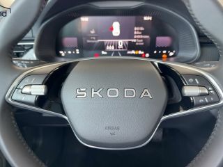 Skoda Kamiq 1,0 TSI 130 Jahre AHK DAB LED Kamera 130 JAHRE