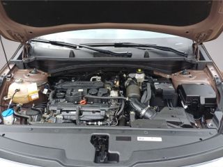 Mitsubishi Grandis 1.3 DIAMANT PLUS KAMERA PDC KLIMA