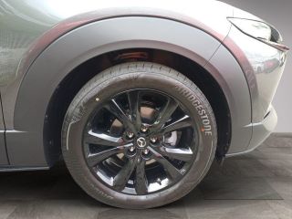 Mazda CX-30 2.5L HOMURA AUT NAVI RFK PDC HUD SHZ CARPL